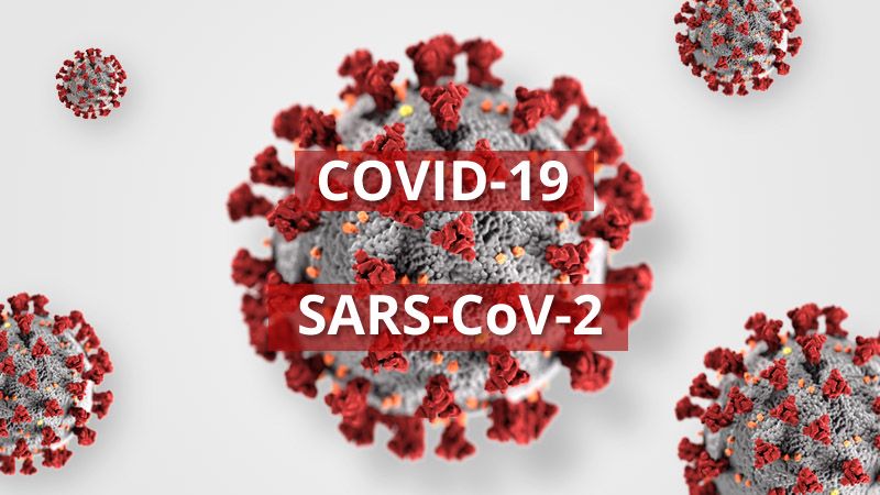 zdjęcie przedstawia wirusa sars-cov-2